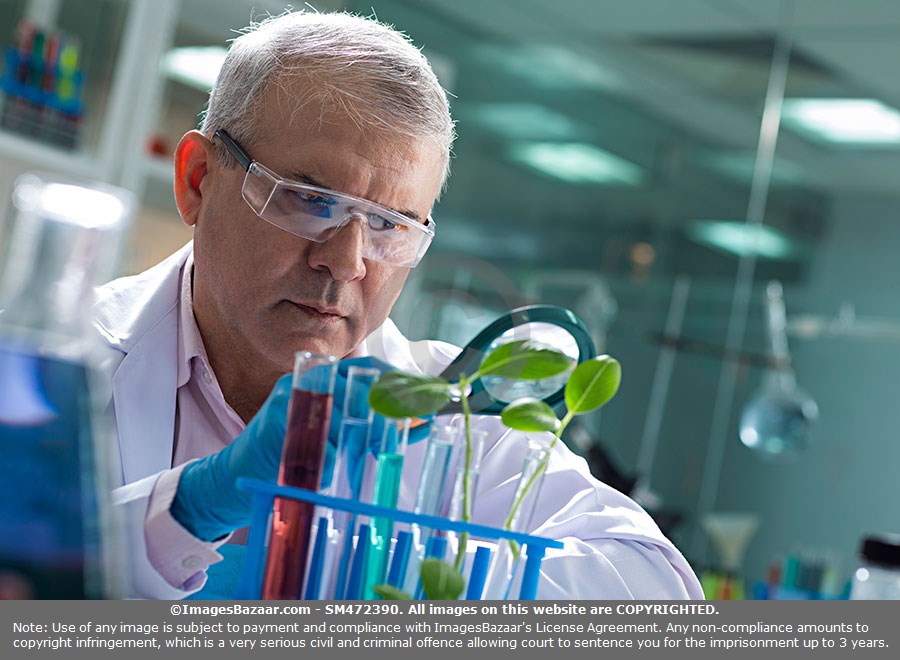 Diagnostic &Lab Solutions