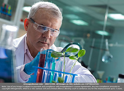 Diagnostic &Lab Solutions